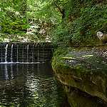 EDITORIAL: Showers Of Creativity!