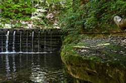 EDITORIAL: Showers of Creativity!