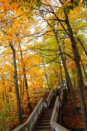 EMOTION IN ACTION: Selected Sticks By Matthew Horton, USA