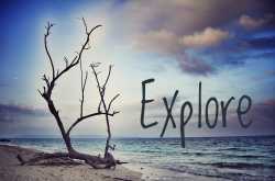 EXPLORE
