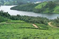 Eagle County villas in kerala