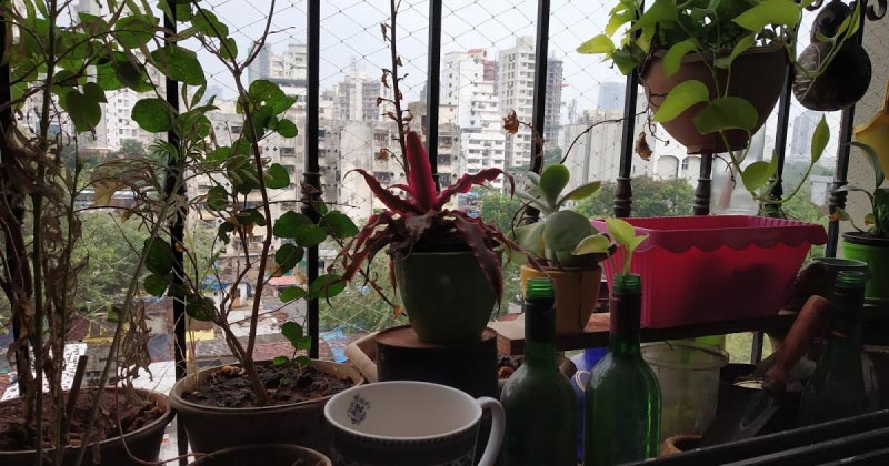 Early Birthday Surprise