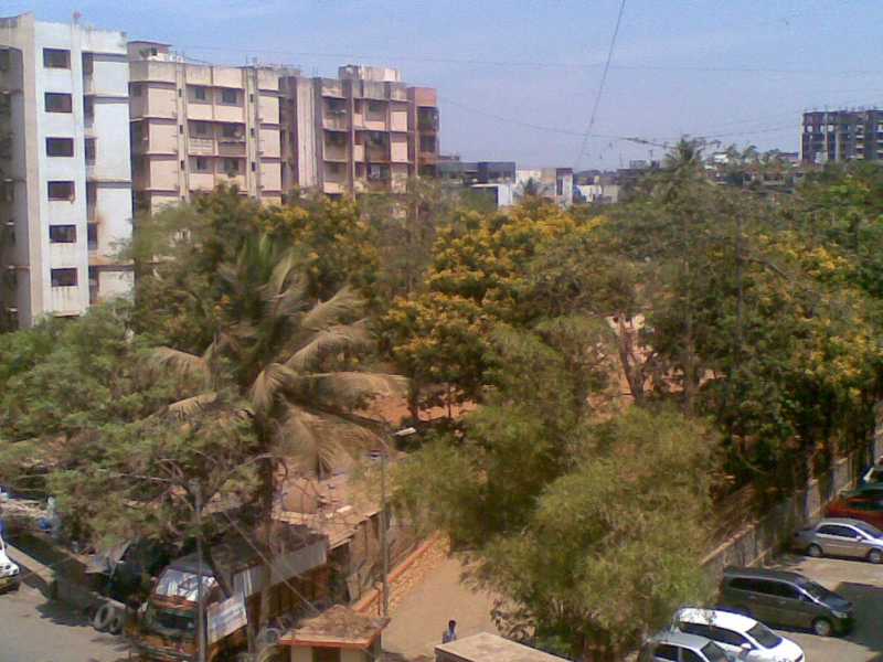 Early Morning Musings...