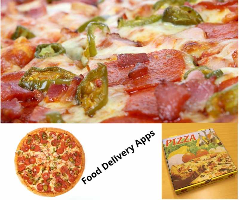 Earn 2000 Online Food Delivery Apps - SriramRaj Blog