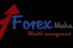Earn from Forex market