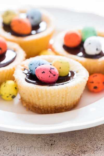 Easter Mini Cheesecakes