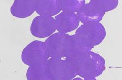 Easy fruit painting - Grape painting - sparklingbuds