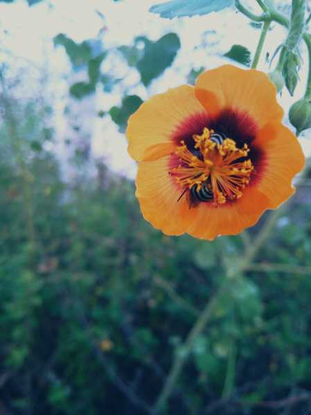 Easy Like A Sunday Evening