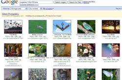 Easy wallpaper search