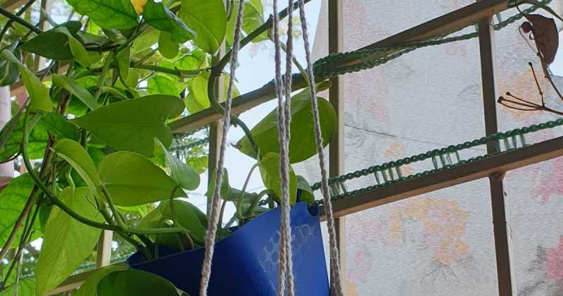 Easy Ways To Make Bird Bath At Home