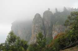 Easy ways to reach Kodaikanal Hills - The Best Tourist Spot In South India