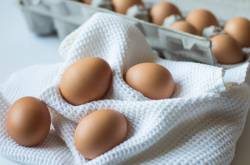 Eat More Eggs, Save Your Cholesterol Levels? - Cholesterol Fighter