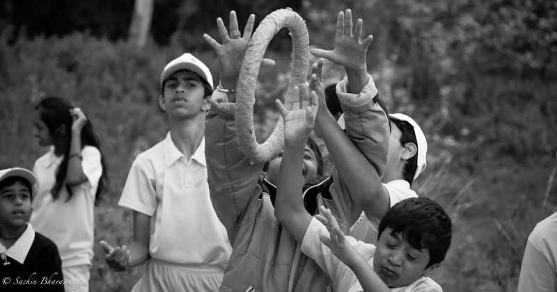 Ecotherapy For Special Children