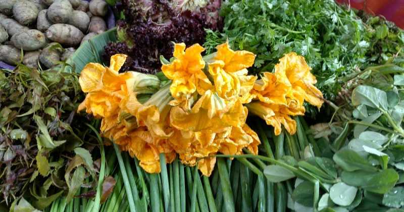 Edible Flowers From The Bengali Kitchen
