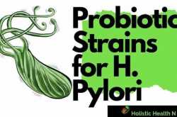 Effectiveness of Probiotic strains in Helicobacter pylori eradication from stomach