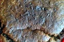 Eggless carrot dates cake 