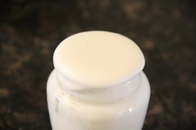 Eggless Mayonnaise