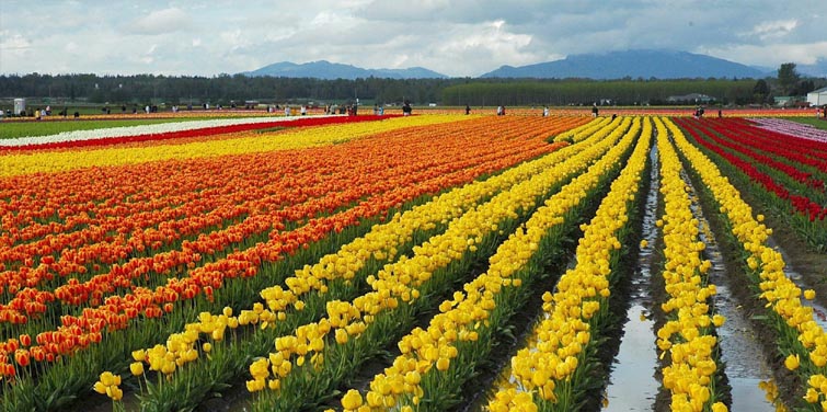 Eight Lesser Known Destinations Of Jammu And Kashmir