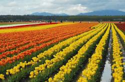 Eight Lesser Known Destinations of Jammu and Kashmir