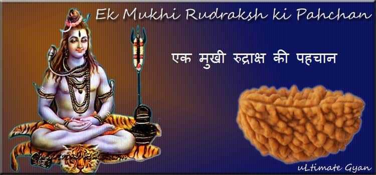 Ek Mukhi Rudraksha Ki Pahchan | असली एकमुखी रुद्राक्ष की पहचान कैसे करें ?