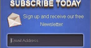 Elegant Subscription Box For Blogger & WordPress