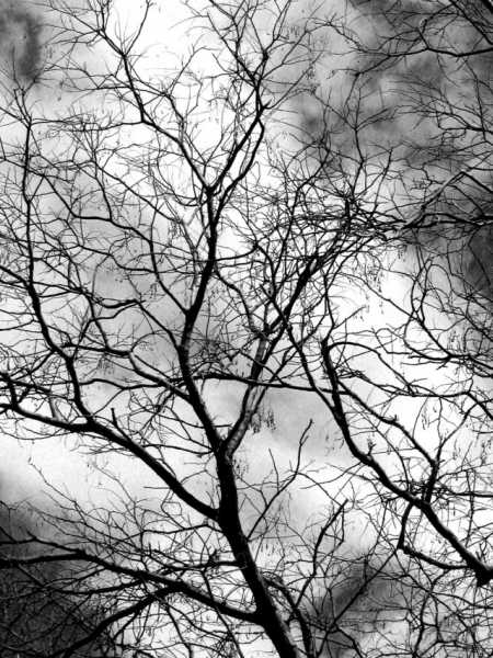 Embarrassment Complicating Life