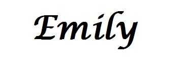 Emily: Chapter Twenty Six