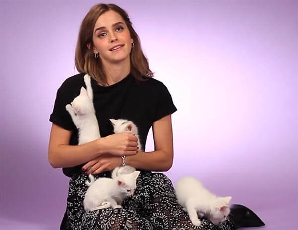 Emma Watson Wiki | Movies | Age | Net Worth | Husband