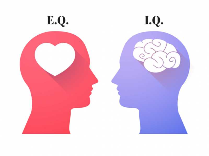 Emotional Quotient (EQ) Vs. Intelligence Quotient (IQ) - Which One Is More Important?