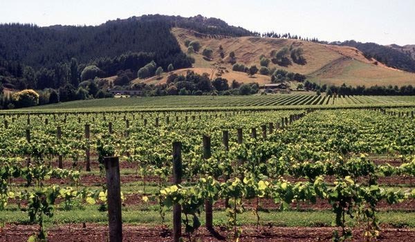 End Of The Beginning.