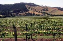 End of the Beginning.