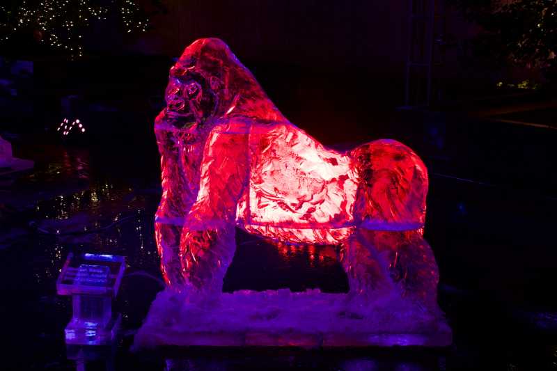 Endangered Animals - Grace-ful Ice