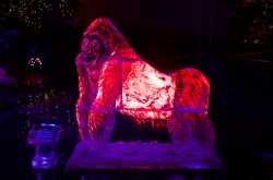 Endangered Animals - Grace-ful Ice