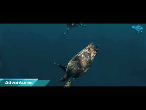 Enjoy Stress-Free Vacation In Bali