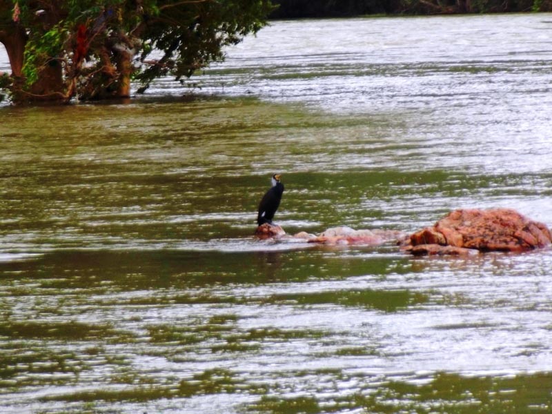 Enjoy The Exuberance Of The IT City - Best Things To Do In Bangalore!