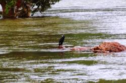 Enjoy The Exuberance Of The IT City - Best Things To Do In Bangalore!