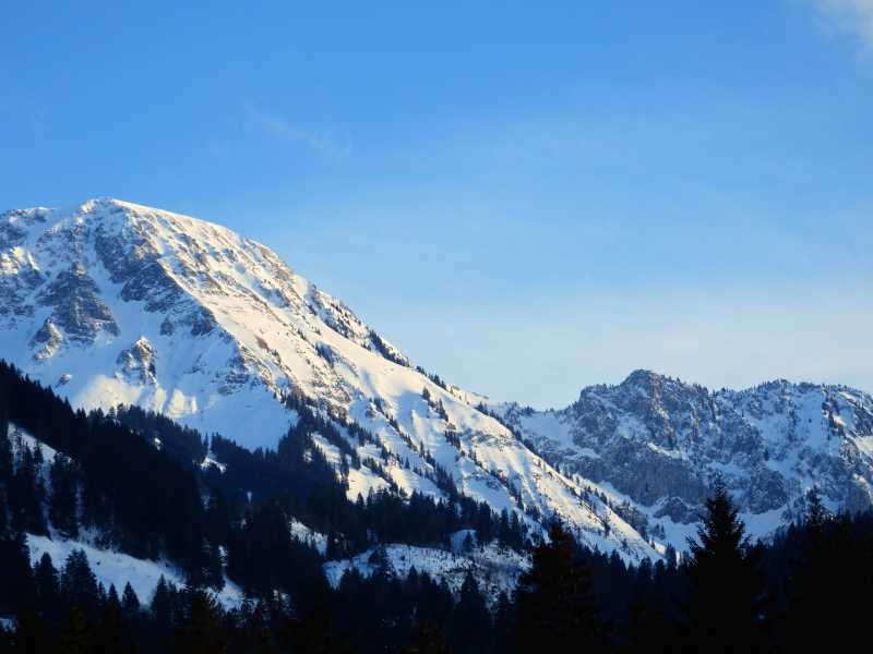 Enlightened By Winter’s Paradox