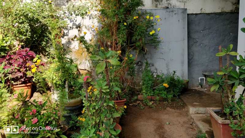 Entries From Two Diaries