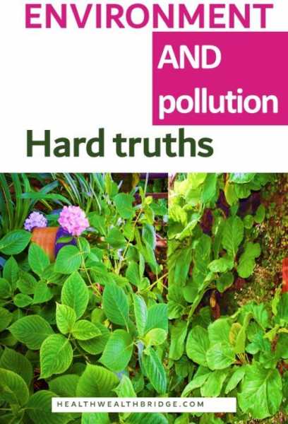 Environmental Pollution Awareness And Strict Action Is The Need Of The Hour - Healthwealthbridge