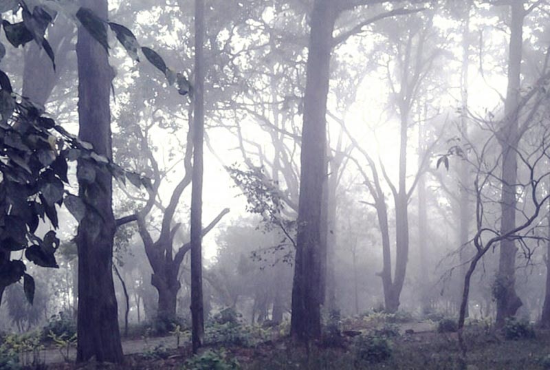 Essentials To Carry During A Monsoon Trip To Coorg With Family