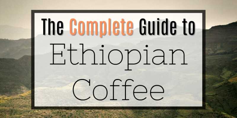 Ethiopian Coffee Beans: History, Varietals & Best Picks [2018 Update]