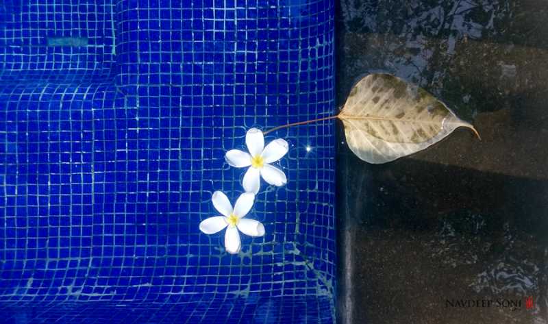 Event Photography In The Age Of Smartphones And Instagram