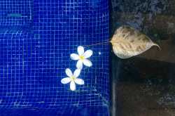 Event Photography In The Age Of Smartphones And Instagram