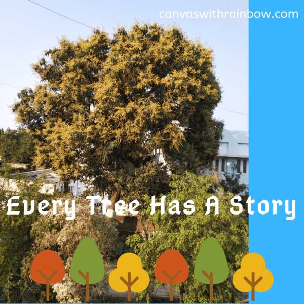 Every Tree Has A Story