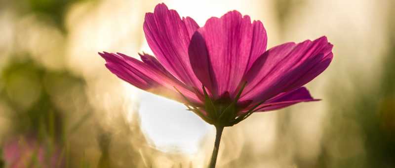 Everything Ends And Why That Is Completely Okay - The Moving Quill