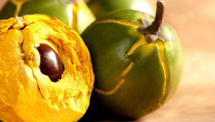 Everything You Need To Know About Lucuma!