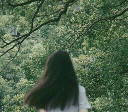 Everything Is Just Appropriate