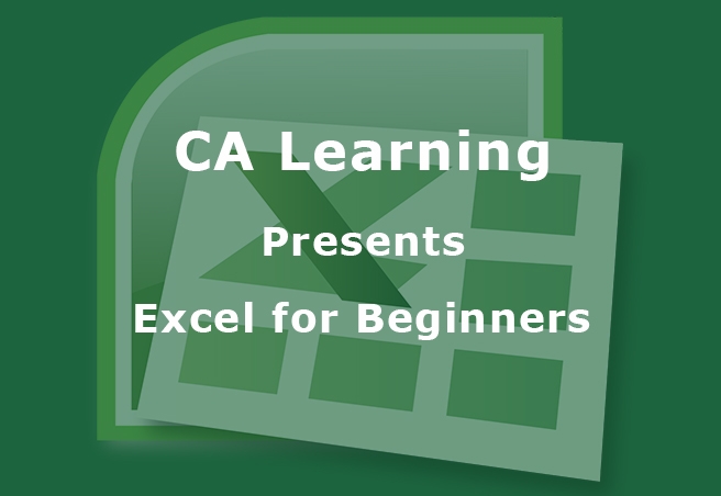 Excel For Beginners, A New Add-on For Professionals By CA Learning