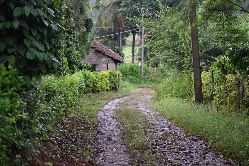 Excerpts From My Recent Trips