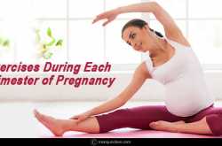 exercises during each trimester of pregnancy